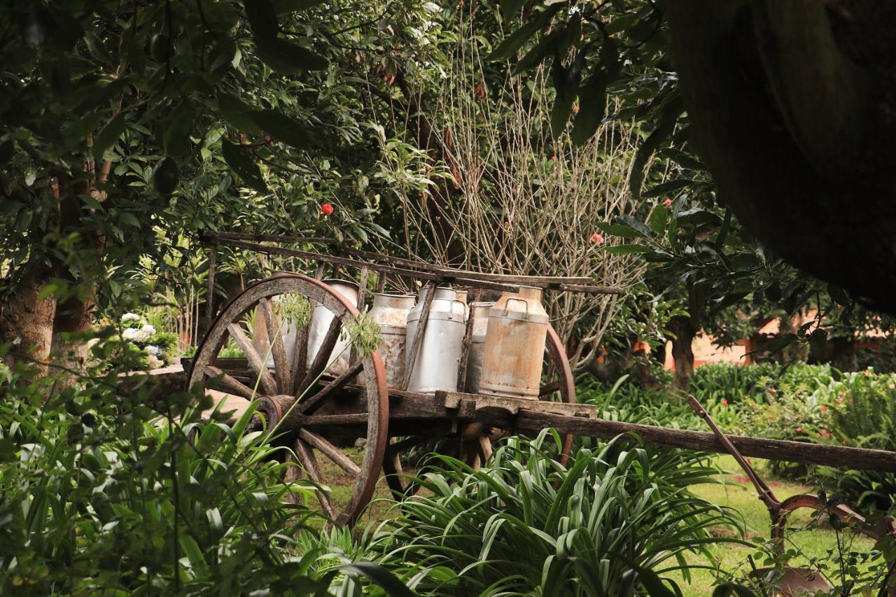 La Huerta Mazamitla Exterior foto